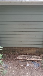The hidden spot behind the garage